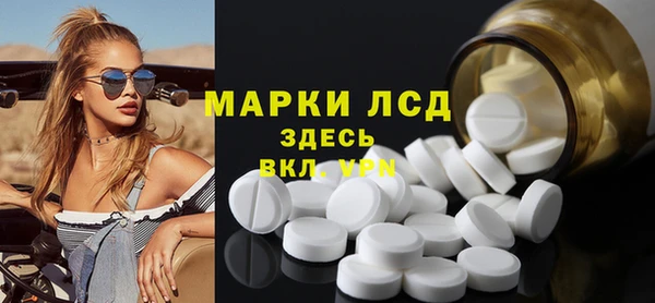 гидра Елабуга