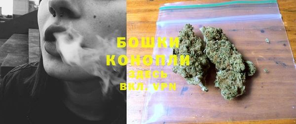 гидропоника Ельня
