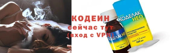 гидра Елабуга