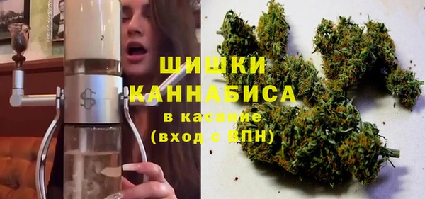 гидра Елабуга