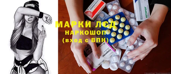 гидра Елабуга