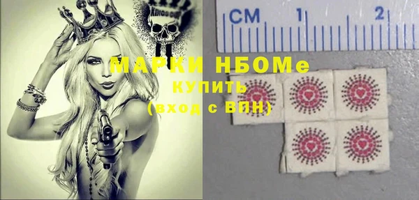 гидра Елабуга
