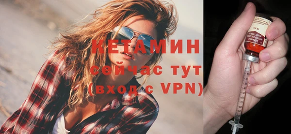 гидра Елабуга