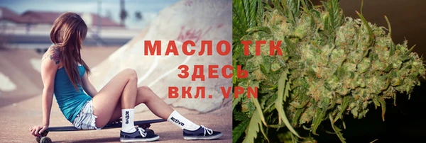 гидра Елабуга