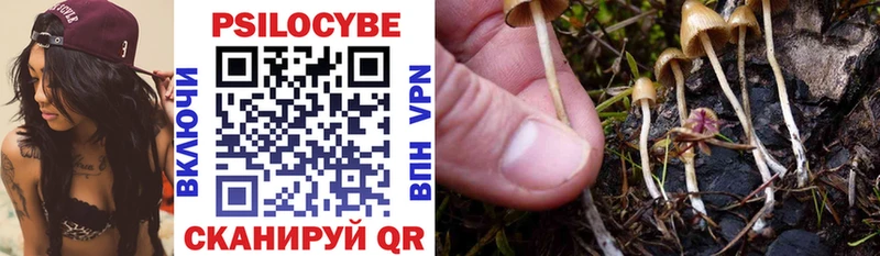 Псилоцибиновые грибы Psilocybe  цена наркотик  гидра рабочий сайт  Ильский 